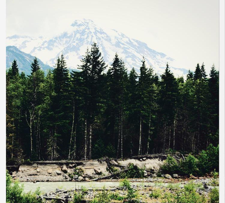 Cuadro Mountain River