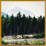 Cuadro Mountain River