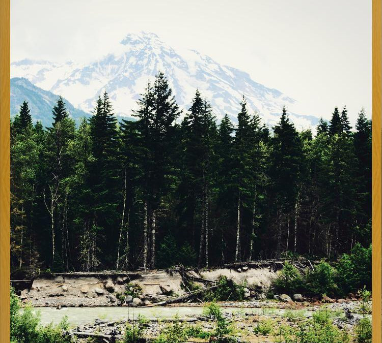 Cuadro Mountain River