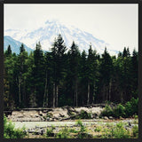 Cuadro Mountain River
