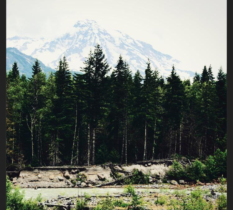 Cuadro Mountain River