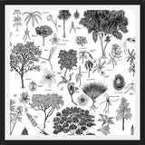 Cuadro Flora Endémica de Venezuela