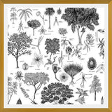 Cuadro Flora Endémica de Venezuela