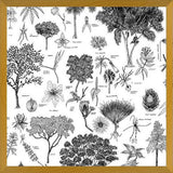 Cuadro Flora Endémica de Venezuela