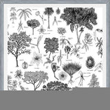 Cuadro Flora Endémica de Venezuela