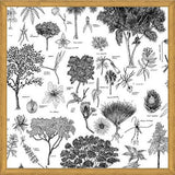 Cuadro Flora Endémica de Venezuela