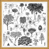 Cuadro Flora Endémica de Venezuela