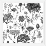 Cuadro Flora Endémica de Venezuela
