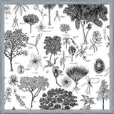 Cuadro Flora Endémica de Venezuela