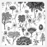 Cuadro Flora Endémica de Venezuela