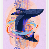 Cuadro Ballena Colores