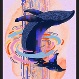 Cuadro Ballena Colores