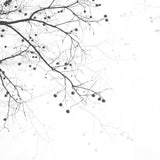 Papel Mural Arbol