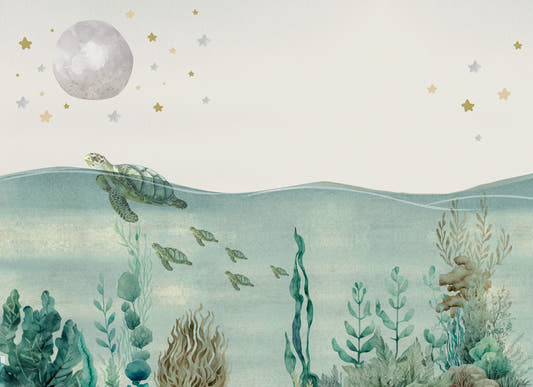 Papel Mural Bajo el mar y las estrellas