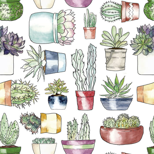 Mantel de Hule Cactus Time