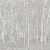 Papel Mural Betula