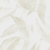 Papel Mural Tropical leaves in foggy forest