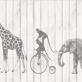 Papel Mural Camino de Animales