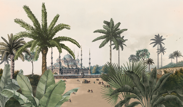 Papel Mural Vintage Jungle
