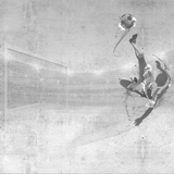 Papel Mural Futbol