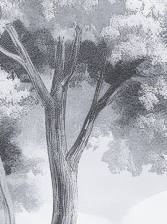 Papel Mural Misty Forest Black and White