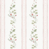 Papel Mural Raspberrys