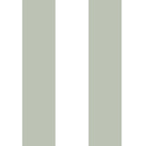 Papel Mural Sage Green
