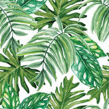 Papel Mural Tropico (Blanco)