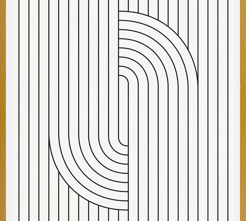 Cuadro Lines And Shapes - b02