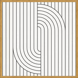 Cuadro Lines And Shapes - b02