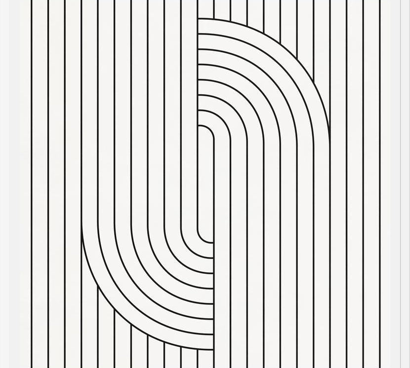 Cuadro Lines And Shapes - b02