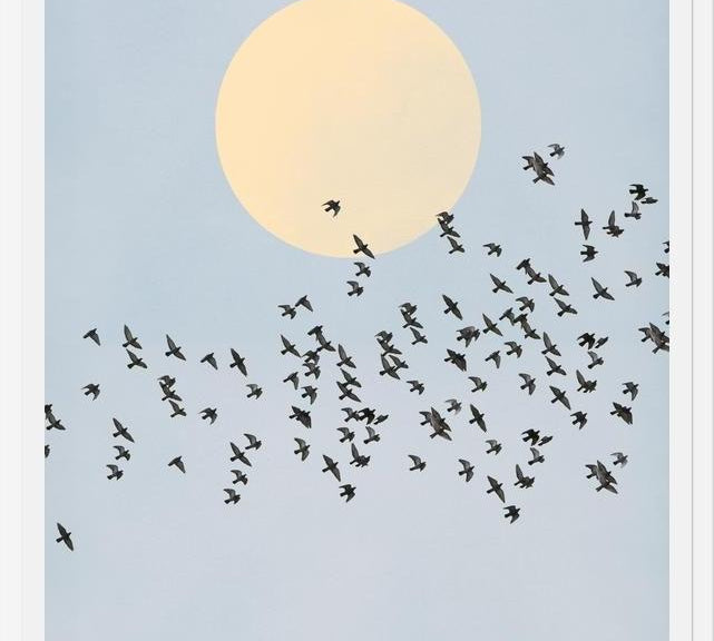 Cuadro El Vuelo
