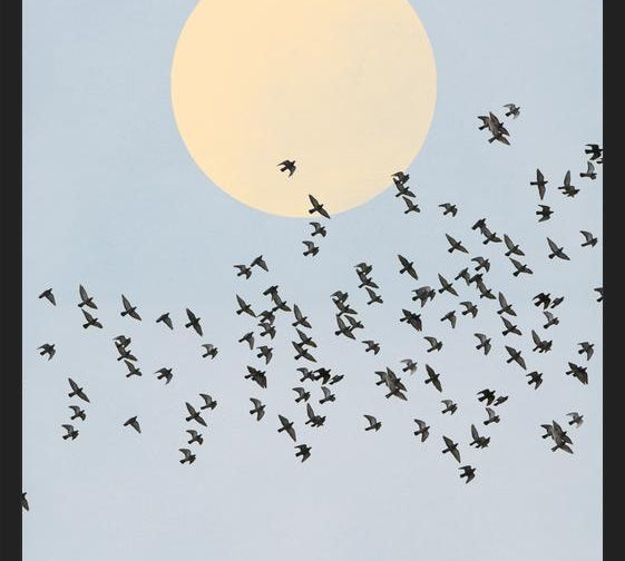 Cuadro El Vuelo