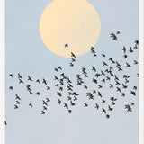 Cuadro El Vuelo