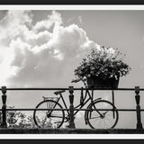 Cuadro Bicicleta y flores en canales Amsterdam