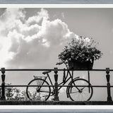 Cuadro Bicicleta y flores en canales Amsterdam