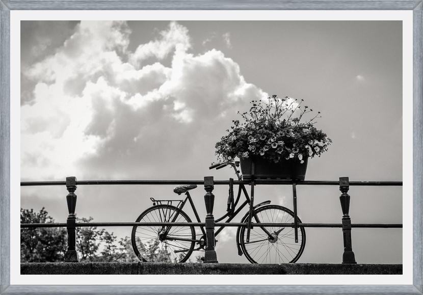 Cuadro Bicicleta y flores en canales Amsterdam
