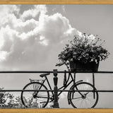 Cuadro Bicicleta y flores en canales Amsterdam