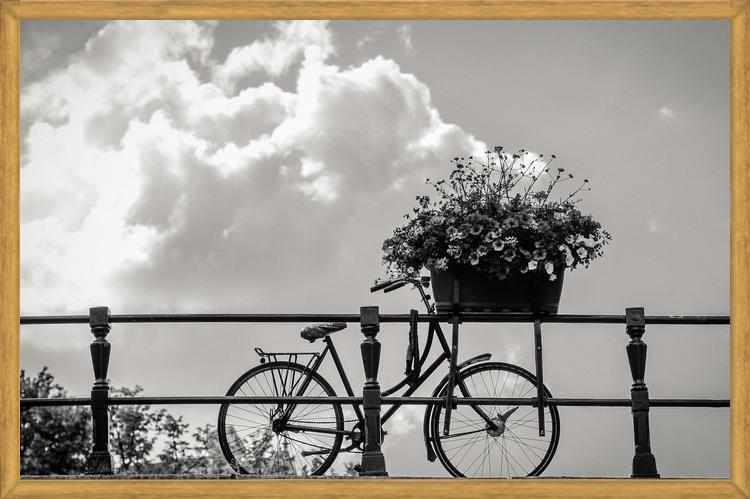 Cuadro Bicicleta y flores en canales Amsterdam