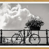 Cuadro Bicicleta y flores en canales Amsterdam