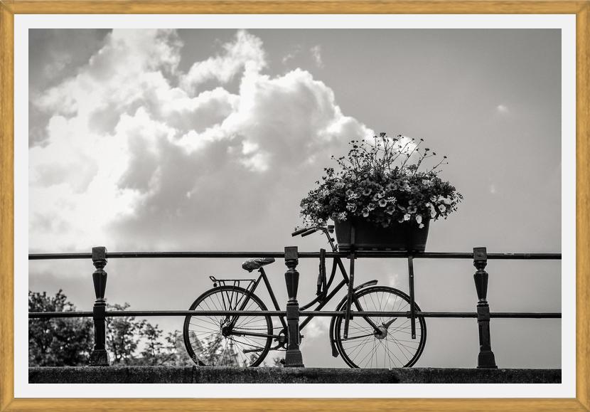 Cuadro Bicicleta y flores en canales Amsterdam