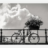 Cuadro Bicicleta y flores en canales Amsterdam