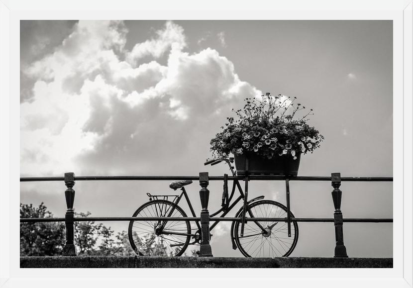 Cuadro Bicicleta y flores en canales Amsterdam