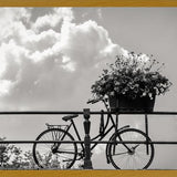 Cuadro Bicicleta y flores en canales Amsterdam