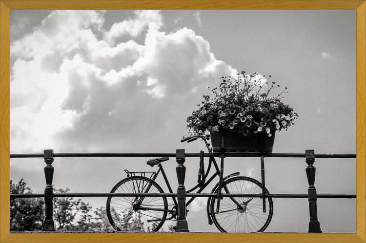 Cuadro Bicicleta y flores en canales Amsterdam