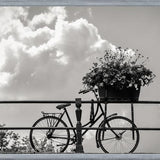 Cuadro Bicicleta y flores en canales Amsterdam