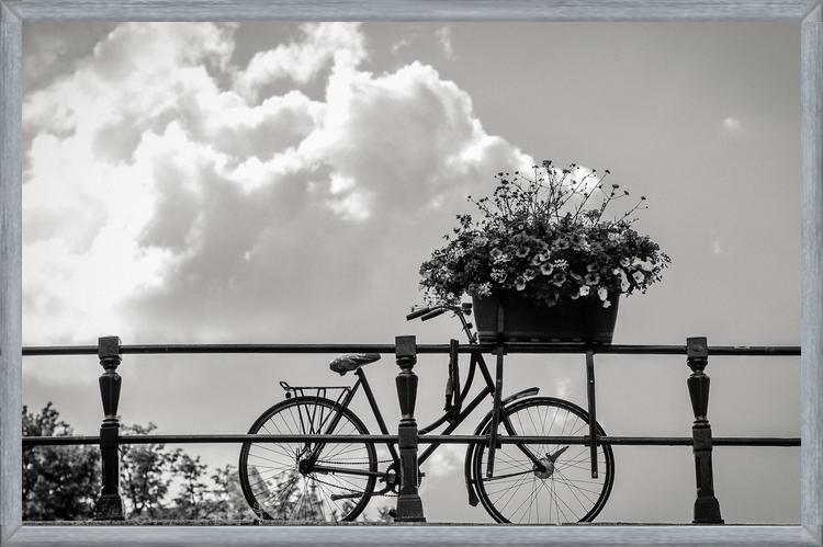 Cuadro Bicicleta y flores en canales Amsterdam