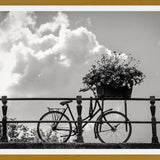 Cuadro Bicicleta y flores en canales Amsterdam