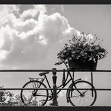 Cuadro Bicicleta y flores en canales Amsterdam