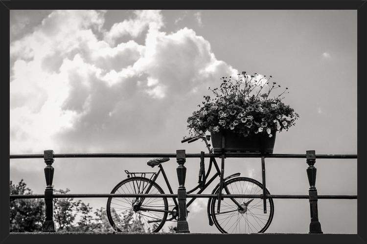 Cuadro Bicicleta y flores en canales Amsterdam